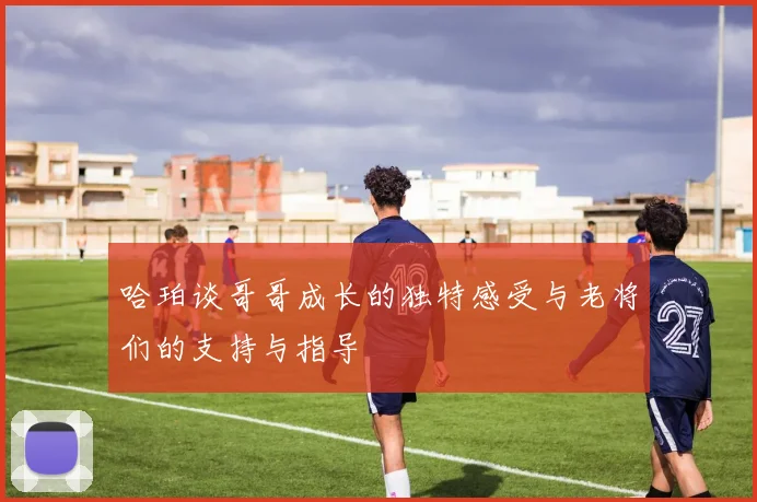 哈珀谈哥哥成长的独特感受与老将们的支持与指导
